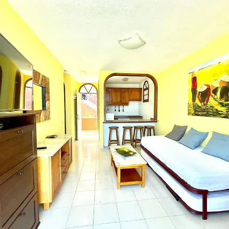 One Bedroom,Pool With Free Internet In Common Areas, Tenerife South